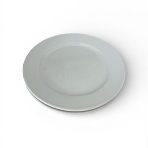 Williams Sonoma Everyday Dinnerware Dinner Plate  
White 9 3/4” - Set of 2